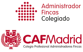 Gestión profesional